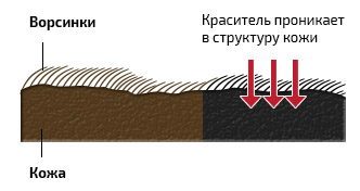 Схема проникающий краситель