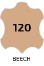 120_beech